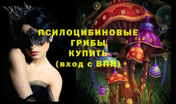 эйфоретик Алзамай