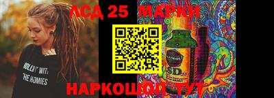 шишки Заволжье
