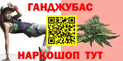 шишки Заволжье