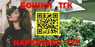 шишки Заволжье