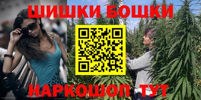 шишки Заволжье