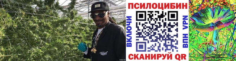 Галлюциногенные грибы MAGIC MUSHROOMS  Волжский 
