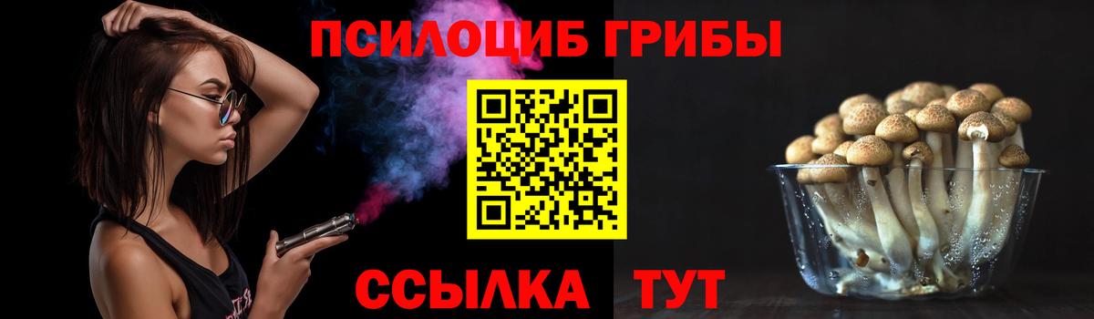 Галлюциногенные грибы Psilocybe Волжский